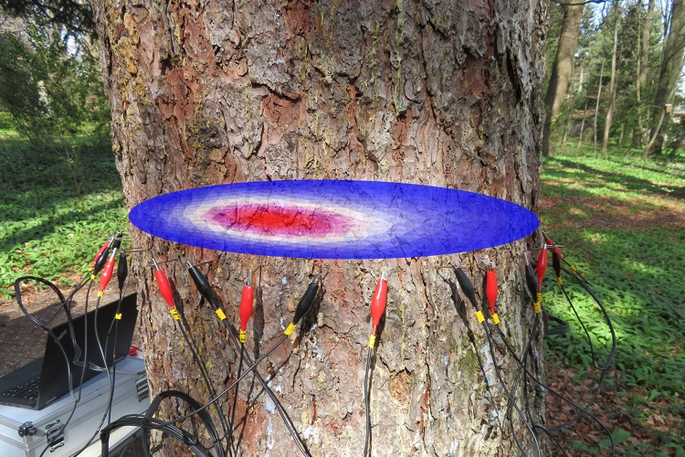 大宝娱乐-LG游戏|PT游戏|CQ9游戏