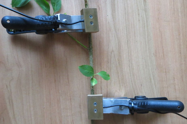 大宝娱乐-LG游戏|PT游戏|CQ9游戏