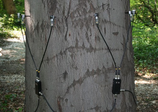 大宝娱乐-LG游戏|PT游戏|CQ9游戏