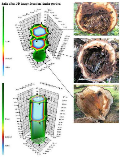 大宝娱乐-LG游戏|PT游戏|CQ9游戏