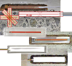 大宝娱乐-LG游戏|PT游戏|CQ9游戏