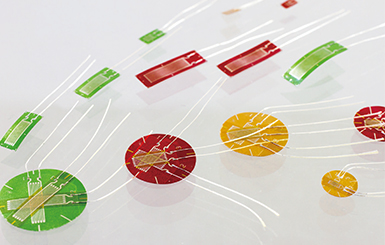 大宝娱乐-LG游戏|PT游戏|CQ9游戏