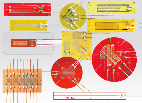 大宝娱乐-LG游戏|PT游戏|CQ9游戏