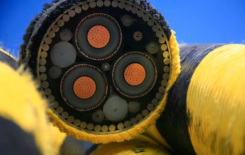 大宝娱乐-LG游戏|PT游戏|CQ9游戏