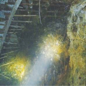 大宝娱乐-LG游戏|PT游戏|CQ9游戏