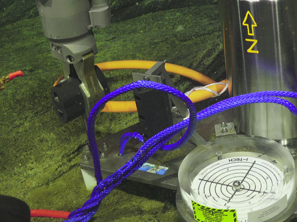 大宝娱乐-LG游戏|PT游戏|CQ9游戏