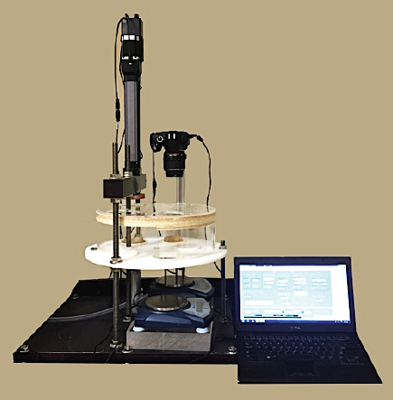 大宝娱乐-LG游戏|PT游戏|CQ9游戏