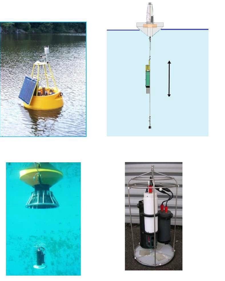 大宝娱乐-LG游戏|PT游戏|CQ9游戏