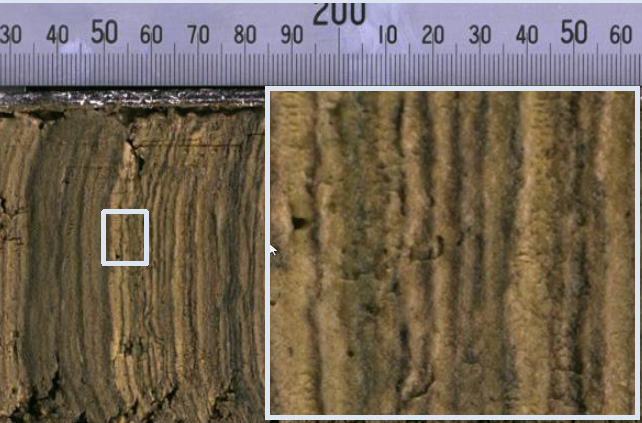 大宝娱乐-LG游戏|PT游戏|CQ9游戏