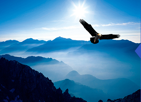 大宝娱乐-LG游戏|PT游戏|CQ9游戏