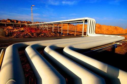 大宝娱乐-LG游戏|PT游戏|CQ9游戏