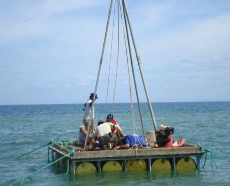 大宝娱乐-LG游戏|PT游戏|CQ9游戏