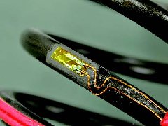 大宝娱乐-LG游戏|PT游戏|CQ9游戏